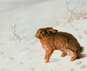 Liebre en la nieve, 1875