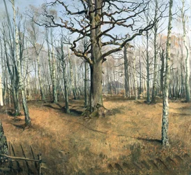 Bosque de Wermsdorf