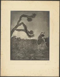 La danza de los apaches