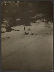 [Niño en trineo colina abajo]