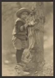 [Niño de pie sobre una raíz de árbol]