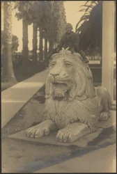 [Niño en la estatua de un león]