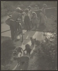 [Niños y gatos]