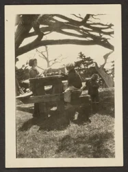 [Niños en una mesa de picnic]