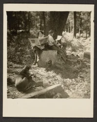 [Pareja leyendo un periódico en el bosque]