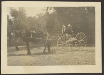 [Pareja en carro de caballos]