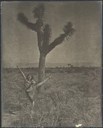 [Bailarina en Joshua Tree]