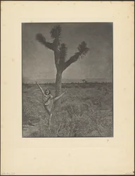 [Bailarina en Joshua Tree]