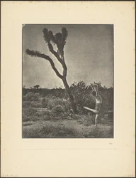 [Bailarina en Joshua Tree]