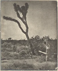 [Bailarín en Joshua Tree]