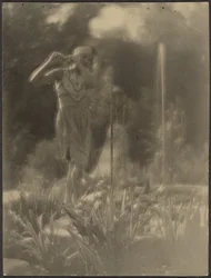 [Bailarina en el jardín]