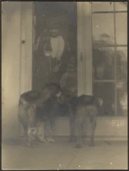 [Perros en la puerta]