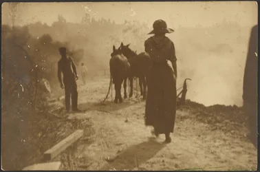 [Escena campestre con una mujer caminando hacia unos caballos]