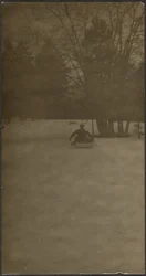 [Figura en trineo en la nieve]