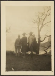 Figuras en la sombra con árbol