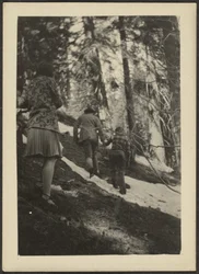 [Figuras en el bosque]