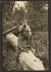 [Fleckenstein en un tronco]