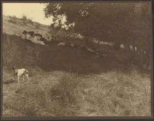 [Retrato de grupo descansando en el campo con un perro]