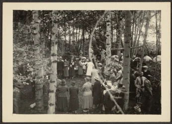 [Grupo en el Bosque]