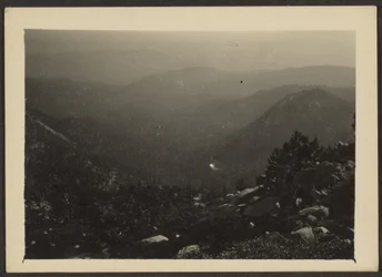 [Idyllwild]
