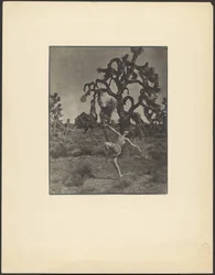 Inspiración de la danza