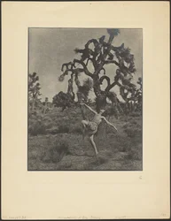 La inspiración de la danza