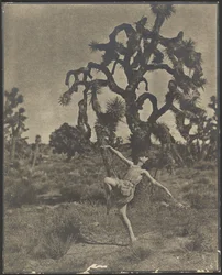 Inspiración de la danza