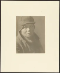 Arrendajo