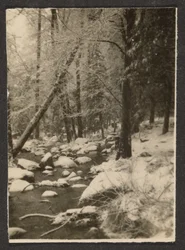 [Paisaje]