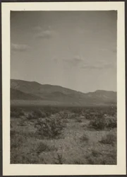 [Paisaje]