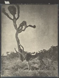 Ligereza y gracia - Dancing Joshua