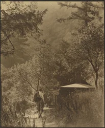 [Hombre caminando hacia una cabaña en el bosque]