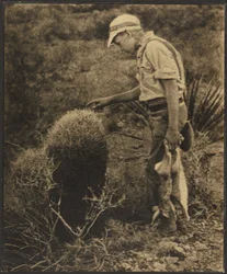 [Hombre con liebres]