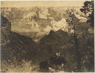 [Paisaje montañoso con árbol desnudo]