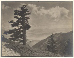 [En Ridge a Old Baldy]