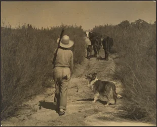 En una cordillera desierta