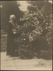 [Retrato de una mujer recogiendo flores]