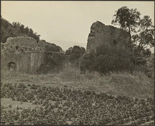 Ruinas de la Misión Purísima Concepción