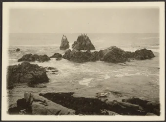 [Seascape]