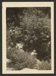 [Primavera en Fern Valley]