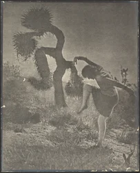 El Joshua payasesco