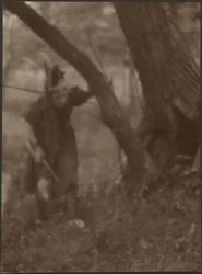[Mujer con tocado detrás de un árbol]