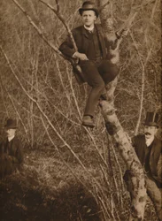 Hombre sentado en un árbol