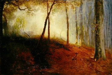 Ciervo en un bosque