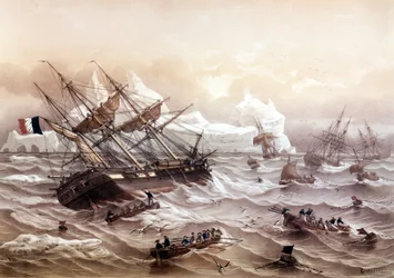 Caza de ballenas en Terranova. Pintura de Lebreton. Principios del siglo XIX
