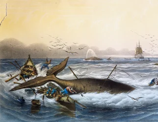 Caza de ballenas en los mares del sur, litografía en color de Louis Lebreton (fallecido en 1866)