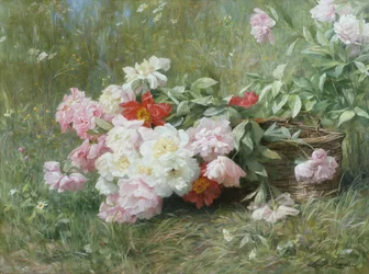 Flores recién cortadas