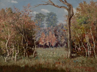 Paisaje otoñal