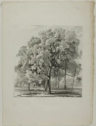 Estudio de árboles