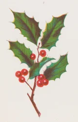 Acebo, 1862